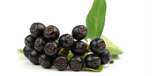 Früchte der schwarzen Eberesche nützlich für Diabetes. 